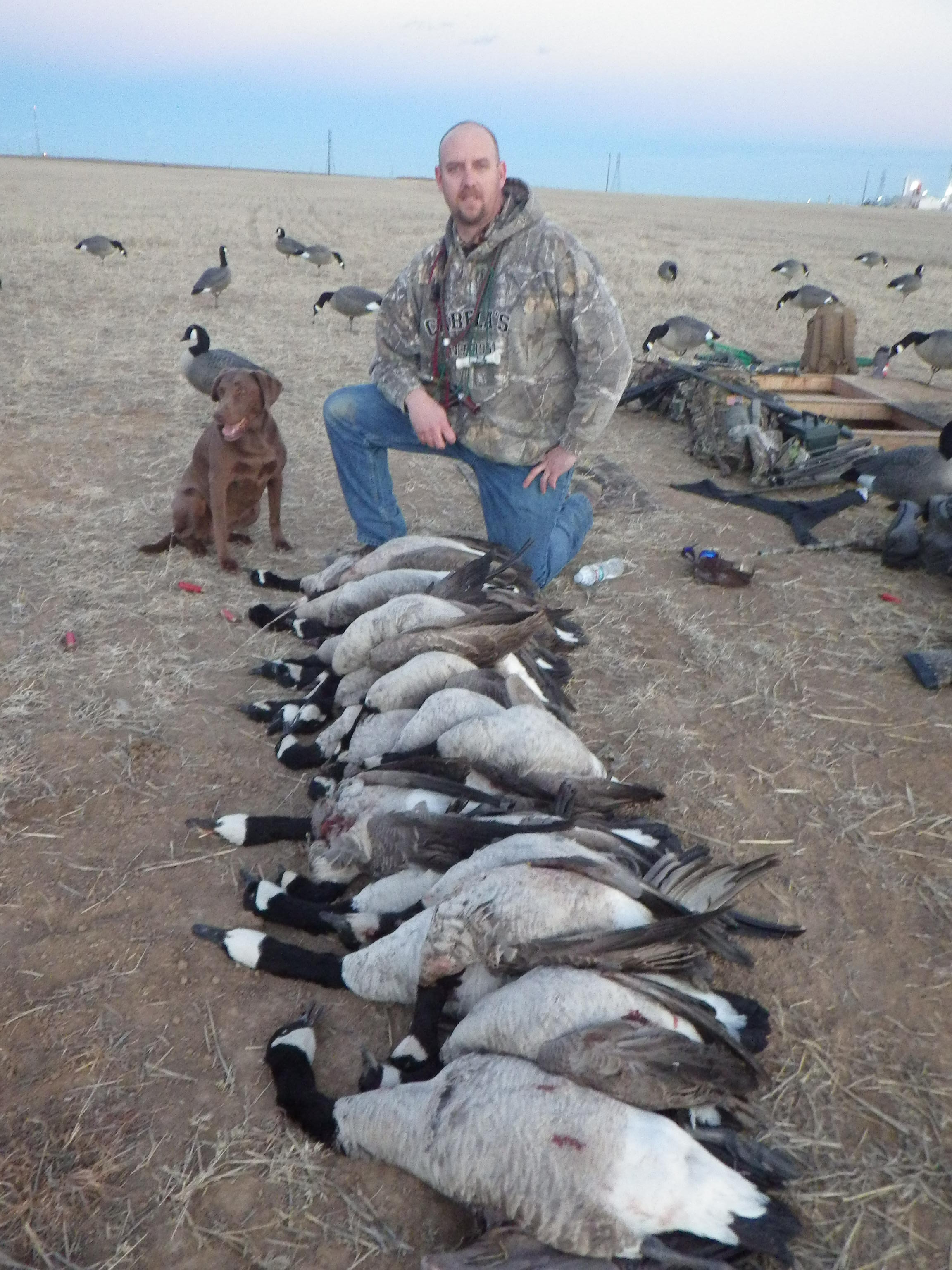 Goose Hunting Success on a Guided Hunt