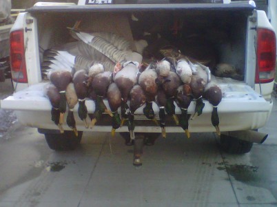 Colorado Waterfowl Hunting | Birds & Bucks Outdoors