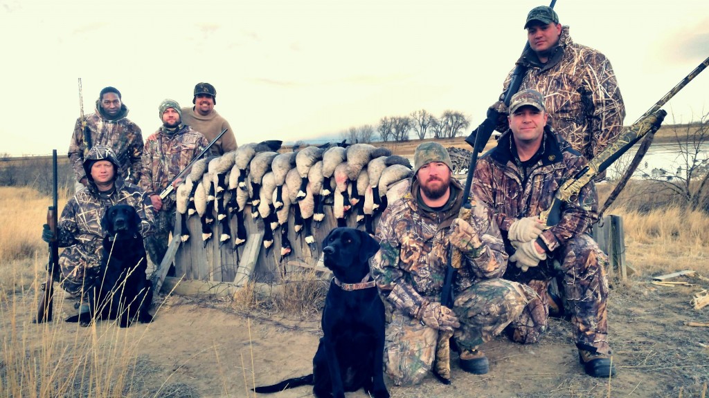 Goose Hunting Colorado Birds & Bucks Outdoors