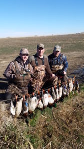 Colorado guided duck hunt