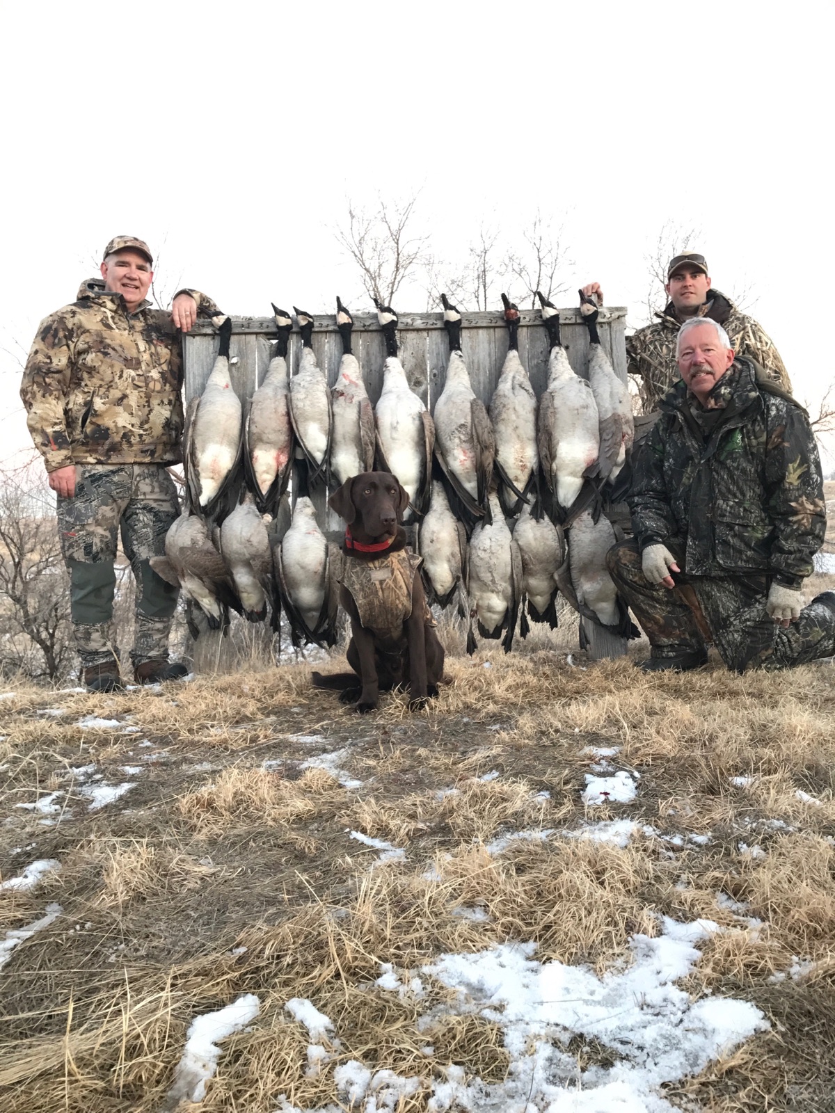 Goose Hunting Guides