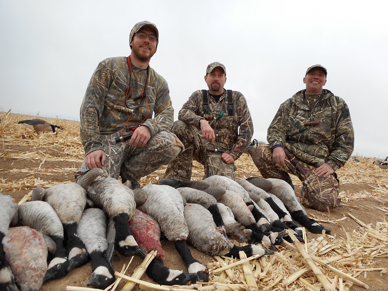 Colorado Goose Hunting Guides and Guided colorado goose hunting
