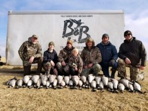 Limits goose hunting in Colorado