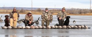 Hunters Colorado goose hunting ice