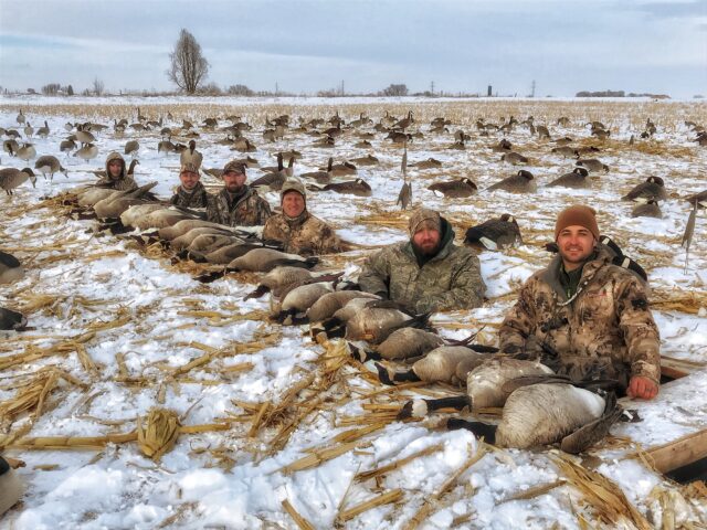 Guided Goose Hunting in Colorado