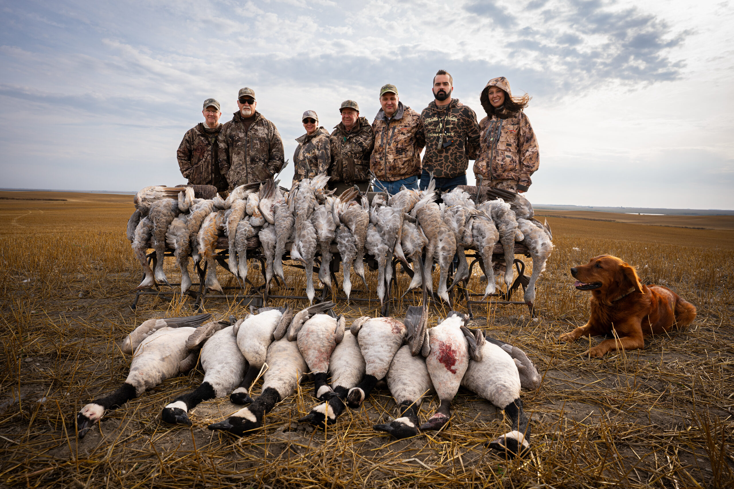Nebraska pile snow goose hunting