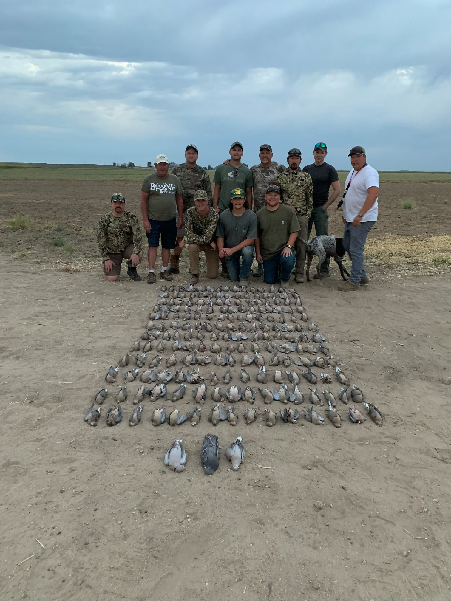 Migration Map Snow geese