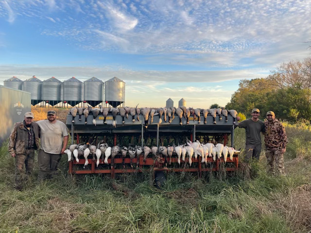 Nebraska Snow Goose Hunting Guides